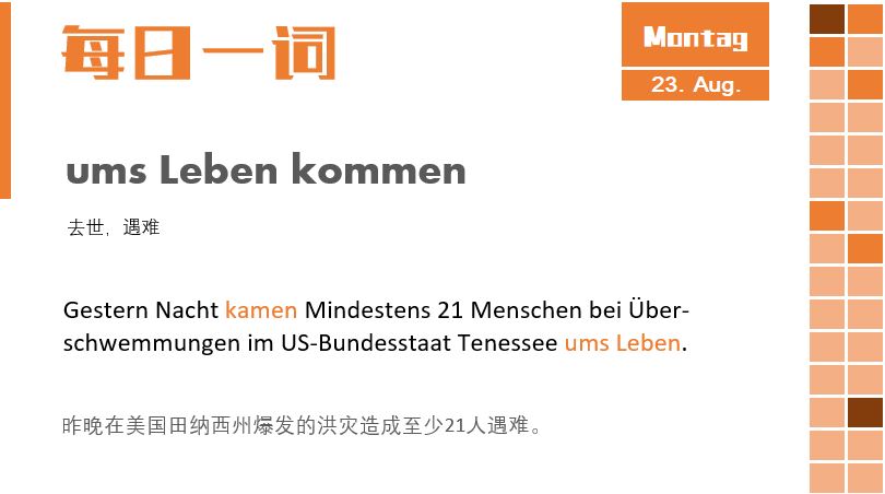 每日一词：ums Leben kommen.JPG